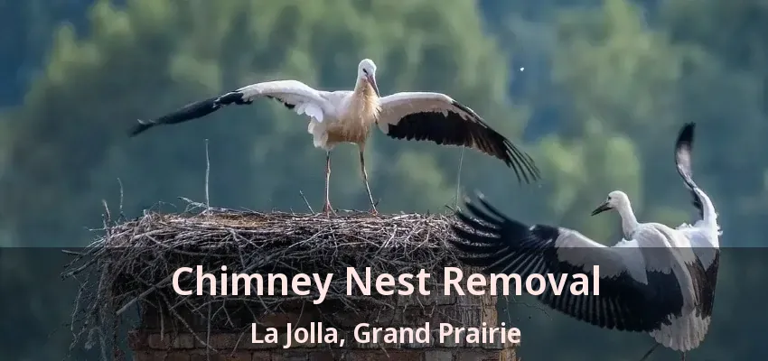 Chimney Nest Removal La Jolla, Grand Prairie - TX Chimney Nest Removal La Jolla, Grand Prairie - TX