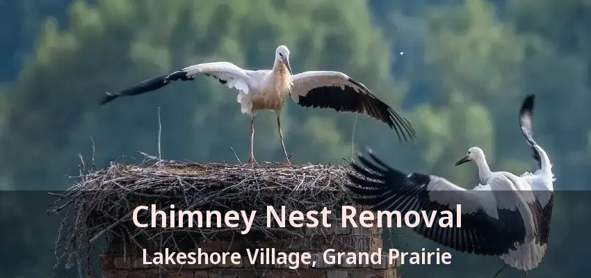 Chimney Nest Removal Lakeshore Village, Grand Prairie - TX Chimney Nest Removal Lakeshore Village, Grand Prairie - TX