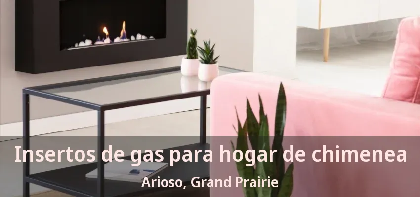 Insertos de gas para hogar de chimenea Arioso, Grand Prairie - TX Insertos de gas para hogar de chimenea Arioso, Grand Prairie - TX