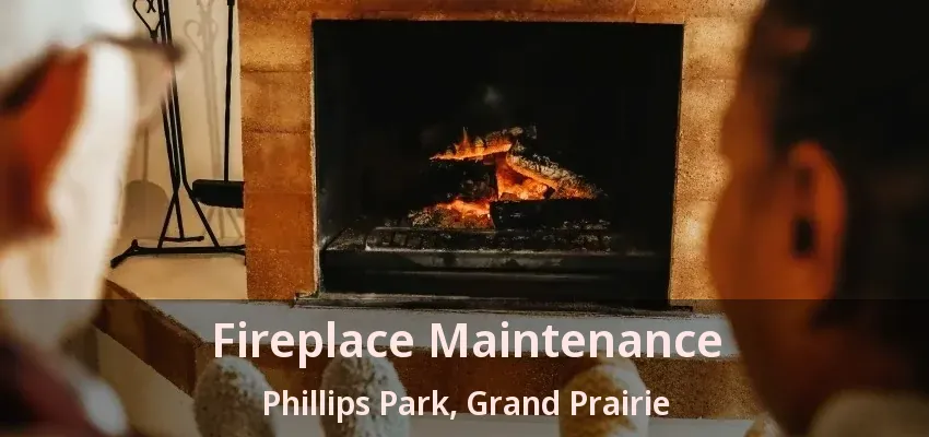 Fireplace Maintenance Phillips Park, Grand Prairie - TX Fireplace Maintenance Phillips Park, Grand Prairie - TX