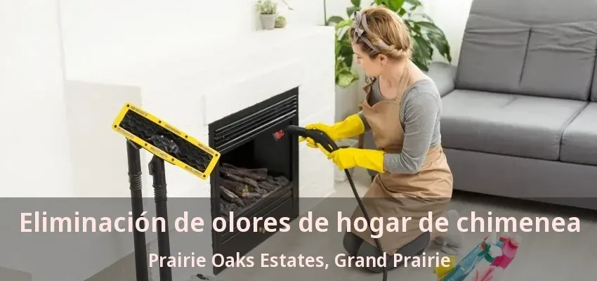 Eliminación de olores de hogar de chimenea Prairie Oaks Estates, Grand Prairie - TX Eliminación de olores de hogar de chimenea Prairie Oaks Estates, Grand Prairie - TX