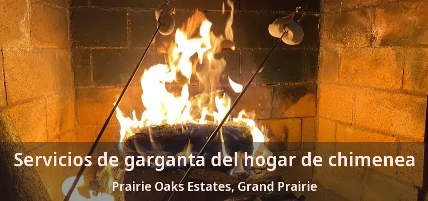 Servicios de garganta del hogar de chimenea Prairie Oaks Estates, Grand Prairie - TX Servicios de garganta del hogar de chimenea Prairie Oaks Estates, Grand Prairie - TX