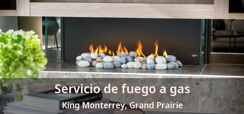 Servicio de fuego a gas King Monterrey, Grand Prairie - TX