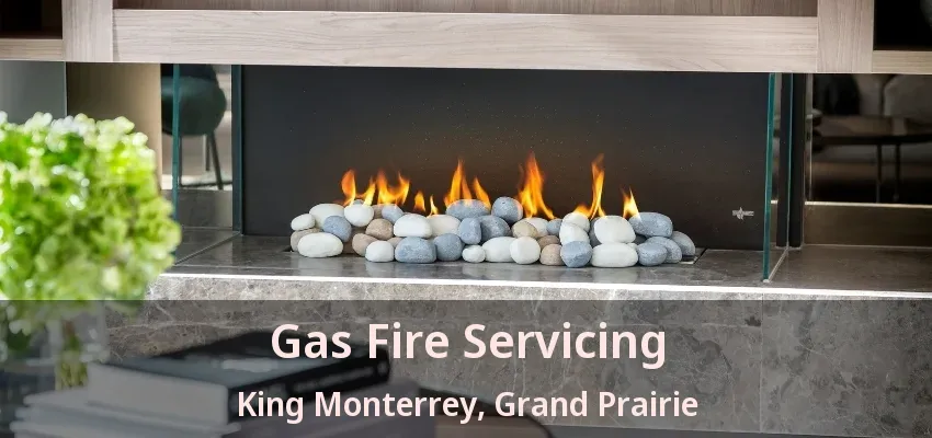 Gas Fire Servicing King Monterrey, Grand Prairie - TX Gas Fire Servicing King Monterrey, Grand Prairie - TX