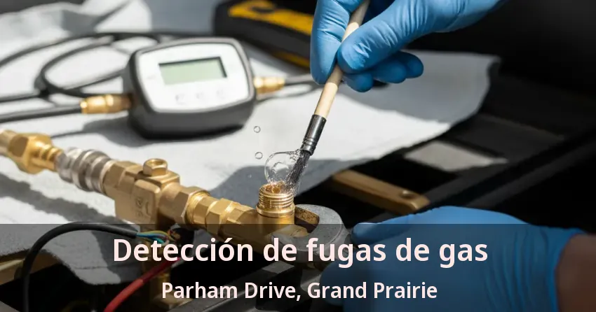 Detección de fugas de gas Parham Drive, Grand Prairie - TX Detección de fugas de gas Parham Drive, Grand Prairie - TX