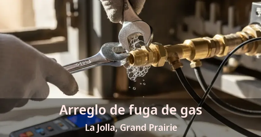 Arreglo de fuga de gas La Jolla, Grand Prairie - TX